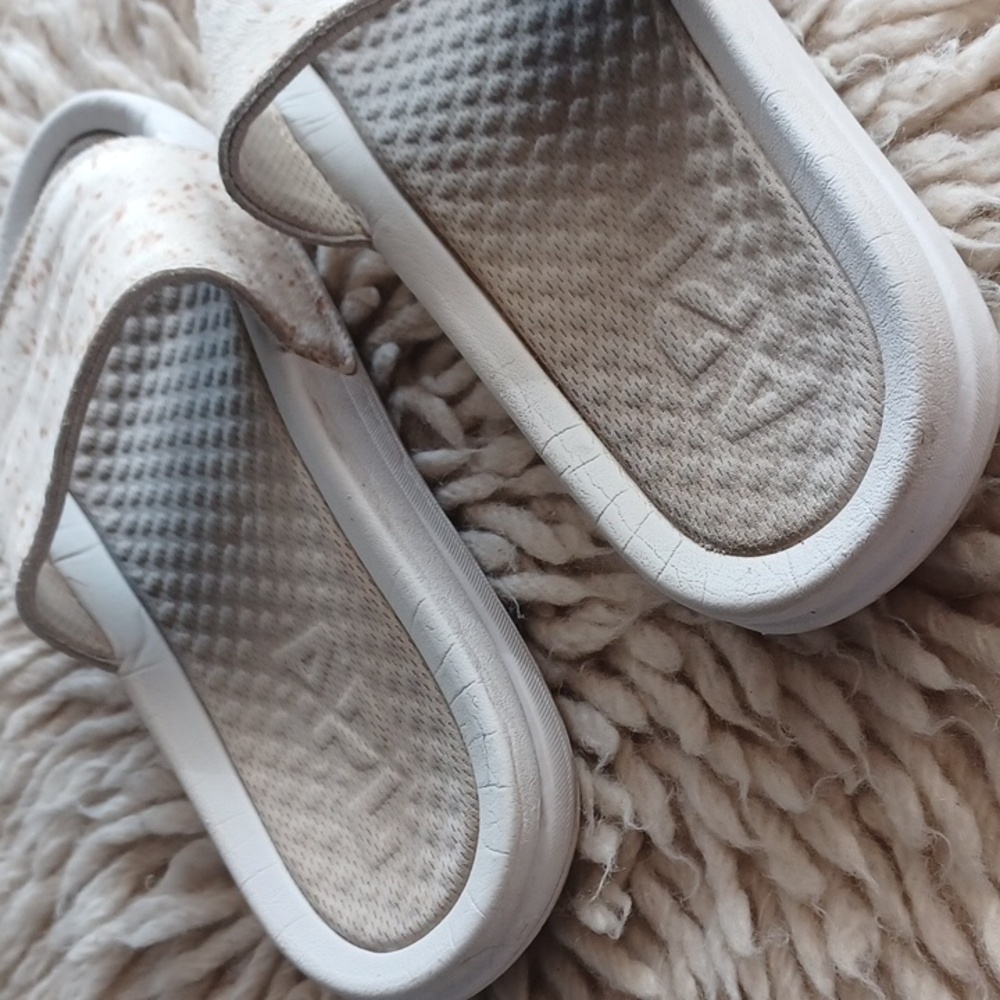 Apl Slides - image 4